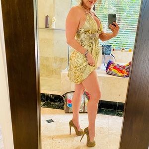 Sky Clothing Embellished Foil Print Silk Dress NWT